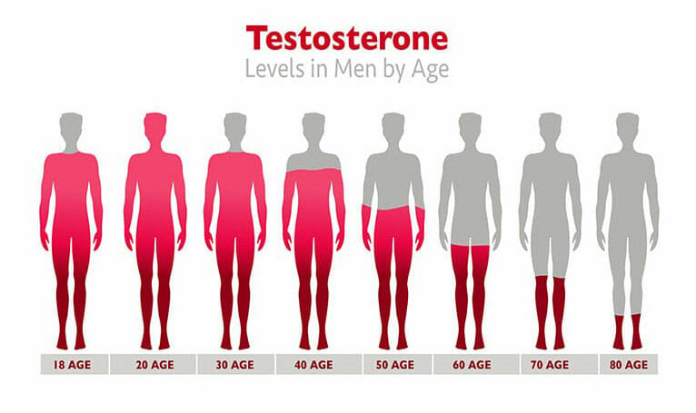 testosterone levels rejuvenatehrt